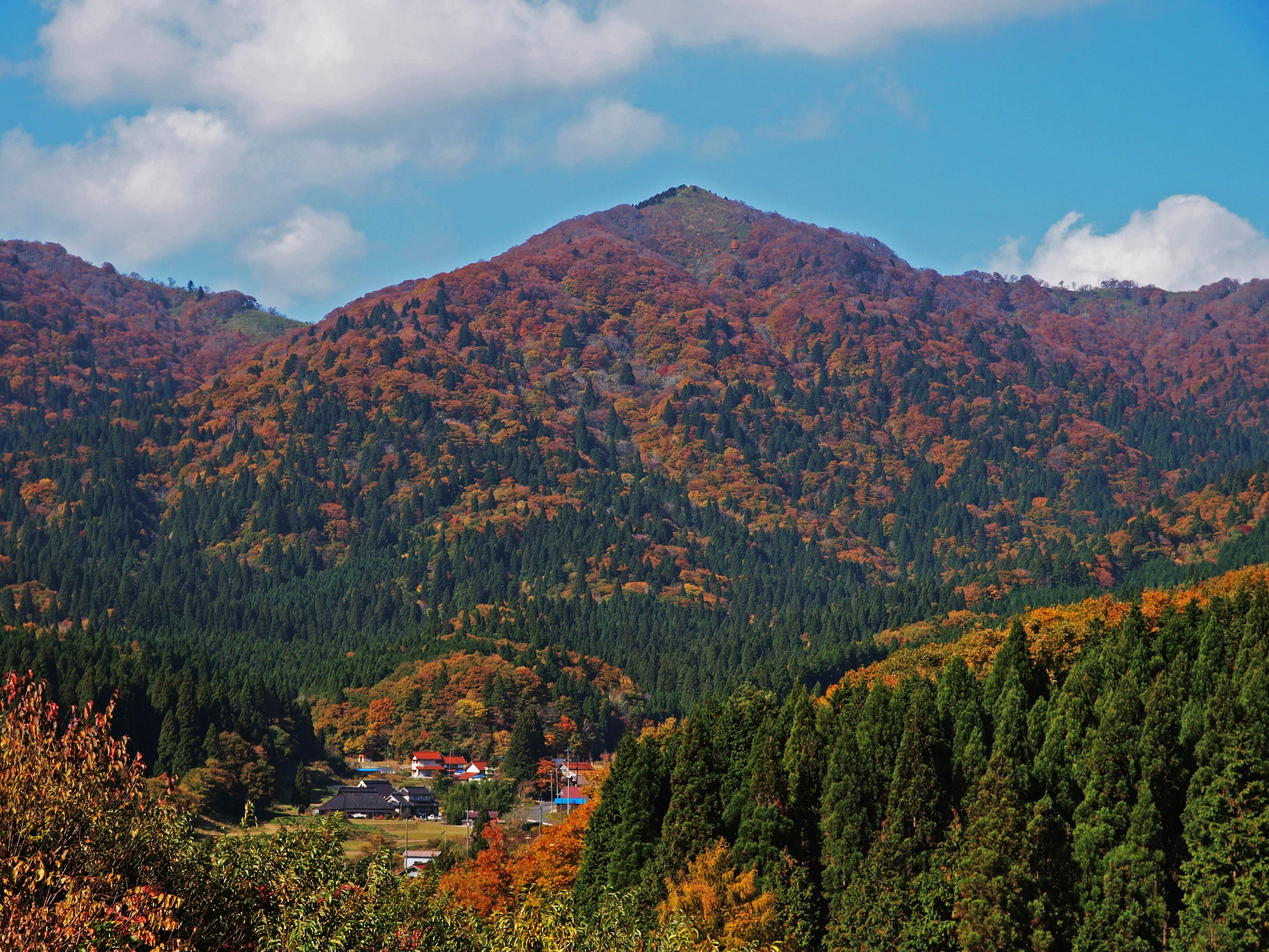 毛無山（ビジターセンター）